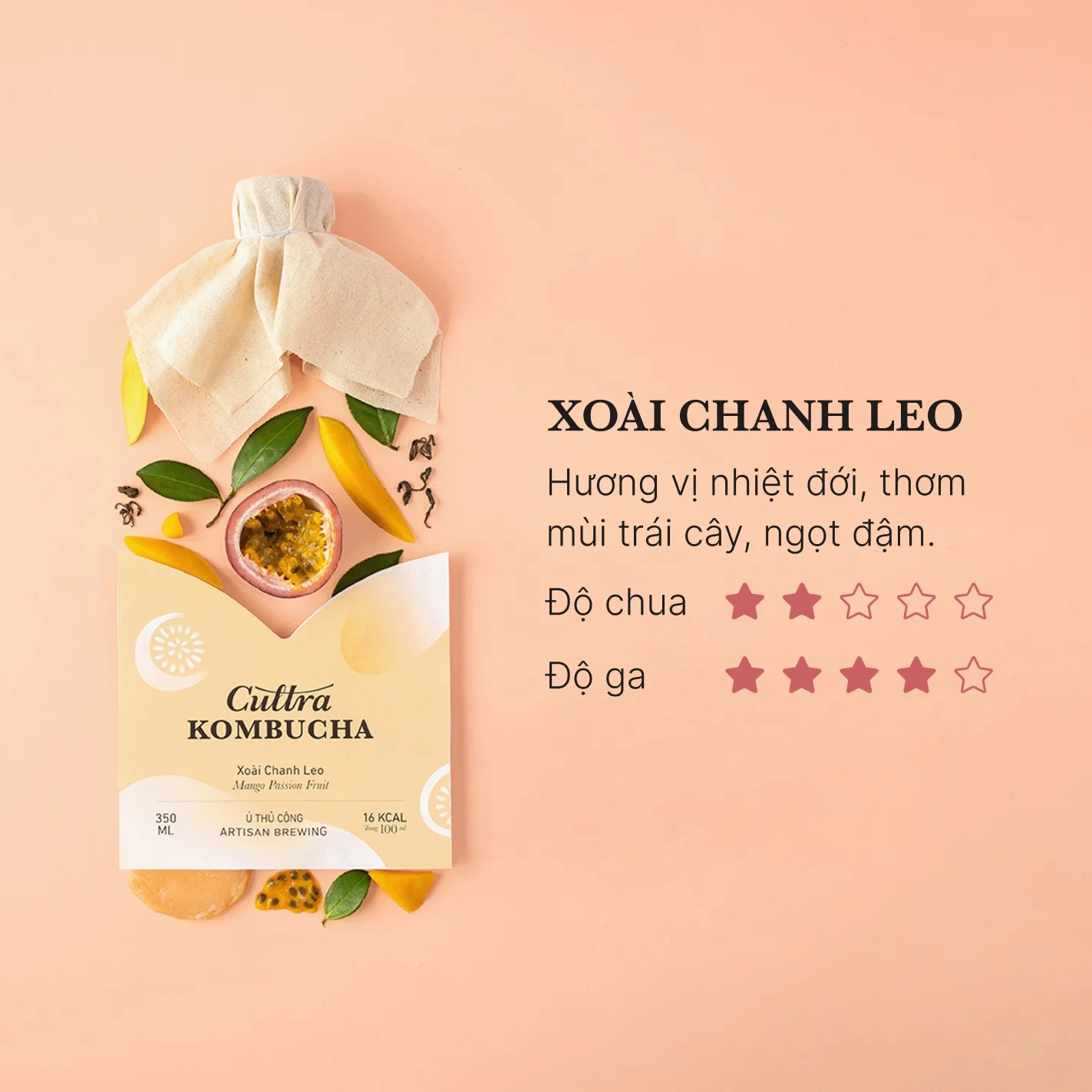 Kombucha - cultra brewery