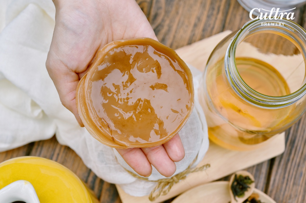 Cách làm trà Kombucha: Công đoạn thực hiện