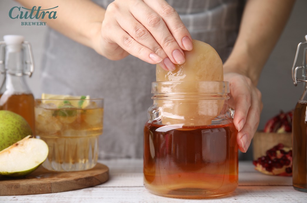 Thêm nấm scoby vào trà đã pha