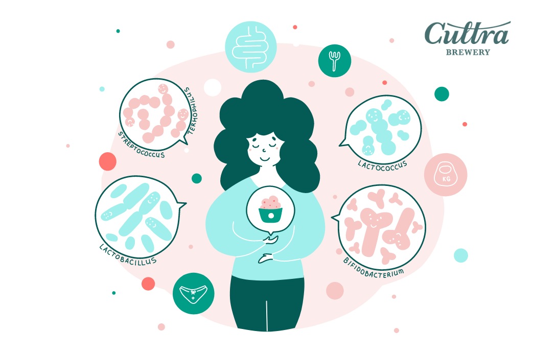Kombucha giúp tăng cường tính đề kháng