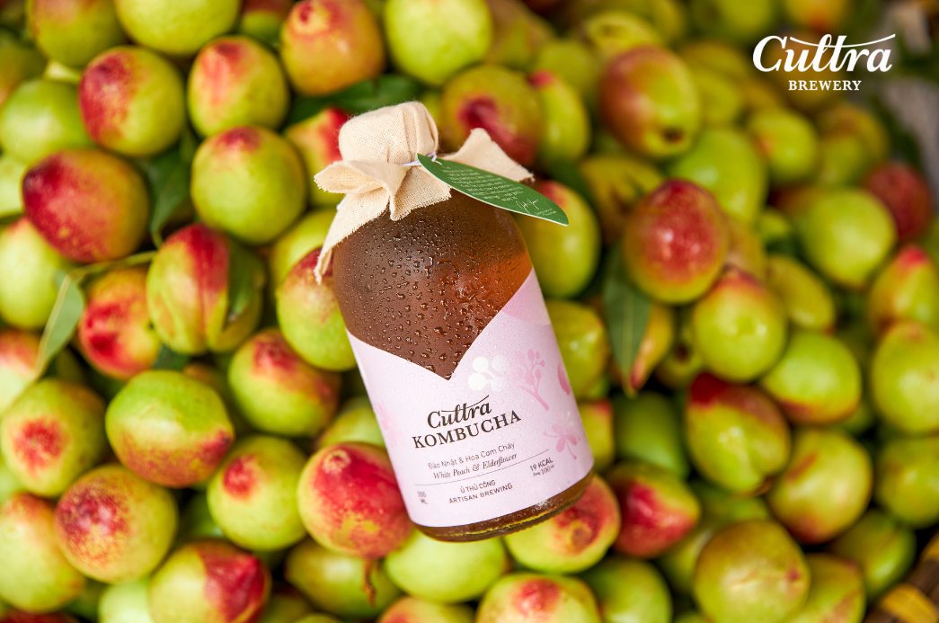 Kombucha hương đào mật - hoa cơm cháy