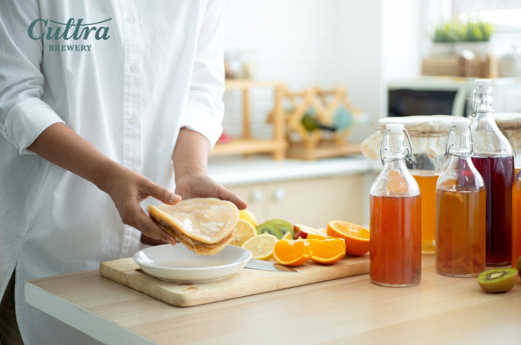cách làm kombucha hoa quả 