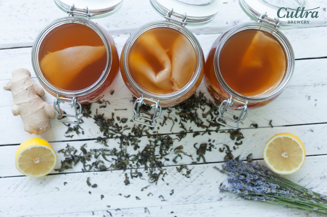 Cho kombucha vào nước đường trà gừng đã pha